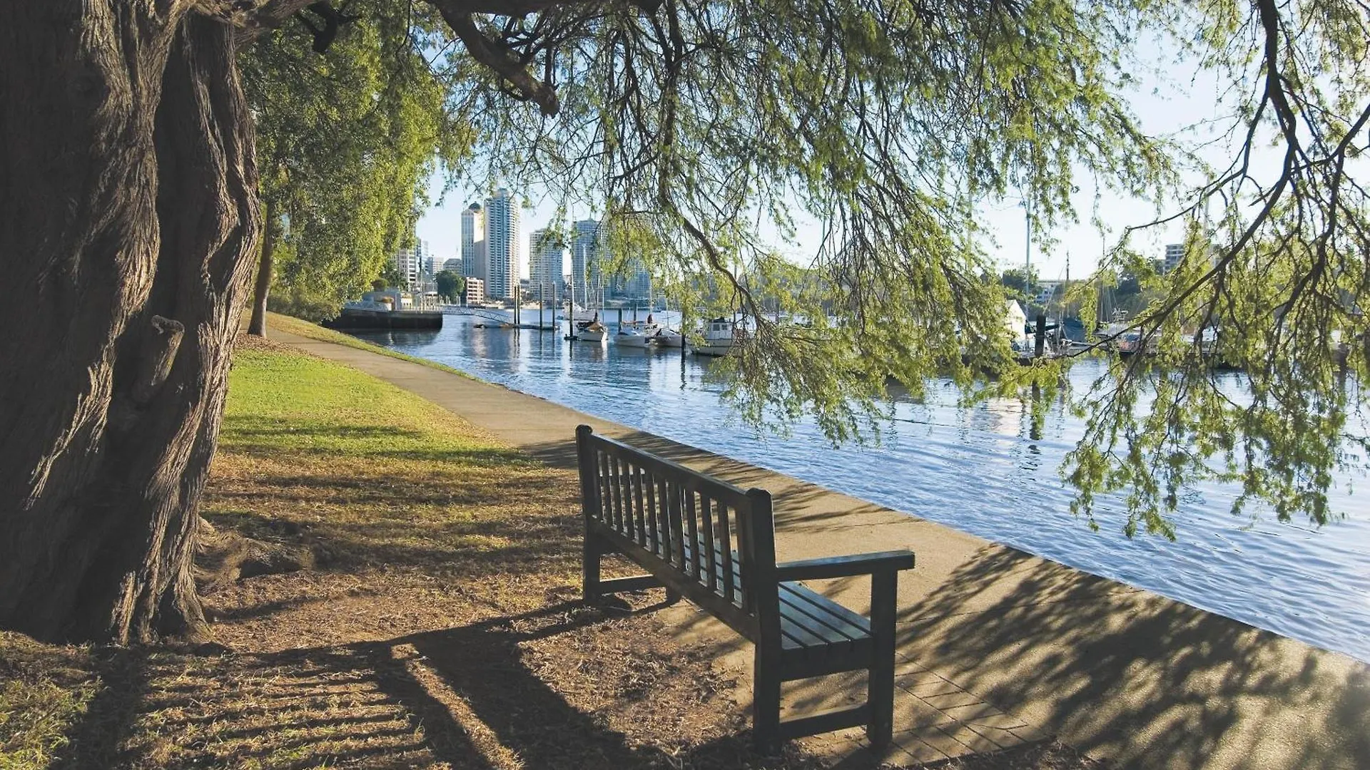 Where to Stay in Brisbane CBD: 4 Oaks Hotels Compared